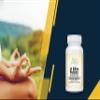 35 Billion Probiotic CFU with 8 Strains 60-Vegcaps - Sustained Release Technology, Resist Stomach Acid, Shelf Stable - Support for Healthy Digestion & Intestinal Ecology Favorable Intestinal Flora view 3