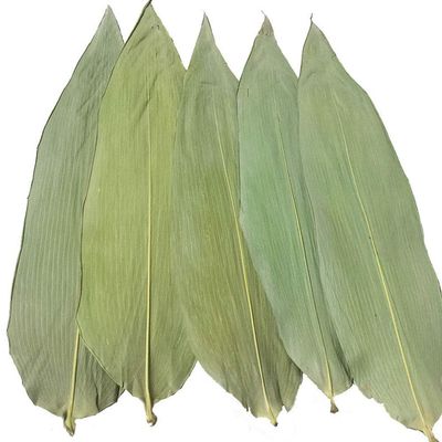 220 Sheets Zongye Large Zongye Wild Wild Bamboo Leaves Zongzi Material