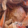 5 Pounds of #2 J.O. Crab Seasoning view 4