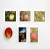 Assorted Note Cards with Envelopes - blank inside with white envelopes Any Occasion Note Cards - 5 PACK (Mountain Views) view 1