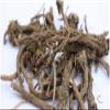 Akarkara | Irani Roots | Anacyclus Pyrethrum  100g view 2