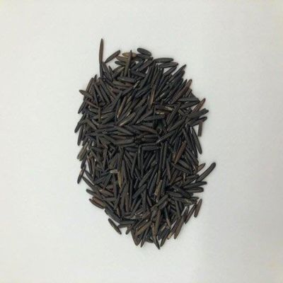 Swift River Wild Rice 10 LB - Grade A, Nutty & Chewy, Ideal for Gourmet Dishes, Gluten-Free, Vegan, Bulk Cooking, Kosher