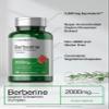 Horbach Berberine with Ceylon Cinnamon | 120 Veggie Capsules | Vegetarian, Non-GMO & Gluten Free Supplement | Berberine Complex view 4