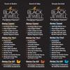 Black Jewell Gourmet Microwave Popcorn Variety With Butter, Sweet and Salty, and Simply Sea Salt 10.5 Ounces view 3