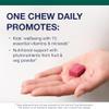 Metagenics MetaKids Multivitamin Soft Chews - Complete Daily Vitamin for Kids* - with Vitamins A, C, D, E & B Complex for Immune, Bone & Growth Support* - 60 Chewable Servings, Grape Flavor view 2