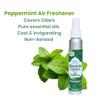 Absolute Green Air Freshener Room Spray, Covers Odor, Variety Pack 4oz (Pack of 4) view 4