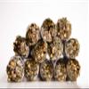 12 Peppermint & White Sage Mix Sage Sticks (Bulk Smudge Bundle) view 4