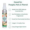 Absolute Green Air Freshener Room Spray, Non-Toxic, Cover Odors, Safe around Kids and Pets, Natural Ginger Spice Scent 4oz (Pack of 2) view 4