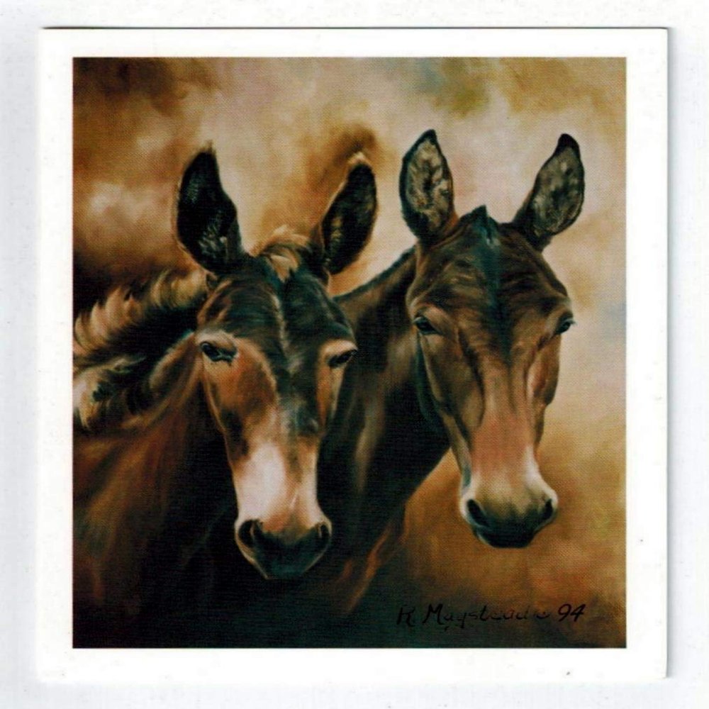 2 Mules Notecard Set - 6 Note Cards