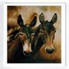 2 Mules Notecard Set - 6 Note Cards view 1