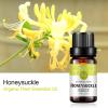 2-Pack Honeysuckle Essential Oil 100% Pure Oganic Plant Natrual Flower Essential Oil for Diffuser Message Skin Care - 10ML view 2