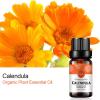2-Pack Calendula Essential Oil 100% Pure Oganic Plant Natrual Flower Essential Oil for Diffuser Message Skin Care - 10ML view 2