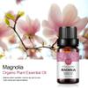 2-Pack Magnolia Essential Oil 100% Pure Oganic Plant Natrual Flower Essential Oil for Diffuser Massage Skin Care - 10ML view 3