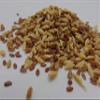 12oz Cat Grass Mix - Wheatgrass, Flax and Barley Seed. Seeds for Microgreens -Hard Red Wheat- Non GMO - Country Creek Acres LLC - Grown in The USA view 2