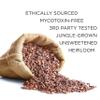 Addictive Wellness Raw Cacao Nibs - Heirloom Mycotoxin-Free Arriba Nacional Chocolate Fermented Cocoa view 3