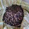 100%Organic Ground Capomo Infusion view 3