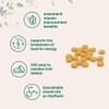 Micro Ingredients Riboflavin Vitamin B2, 400mg Per Serving, 240 Mini Tablets | Essential Vitamin B Supplement | B Vitamins for Energy Production | Easy to Swallow, Non-GMO view 3