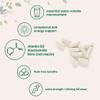 Vitamin B3 Niacinamide 500mg Per Capsule, 400 Capsules | 1,000mg Flush Free Niacin Per Serving, Essential B Vitamin Supplement | Non-GMO, Gluten Free view 4