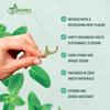 Natural Dental Floss Picks - Eco Friendly Cruelty Free & Vegan Tooth Flossers Pick Set with BPA Free Handle & Zero Waste Packaging - 200 Pack (Mint Flavored) view 2
