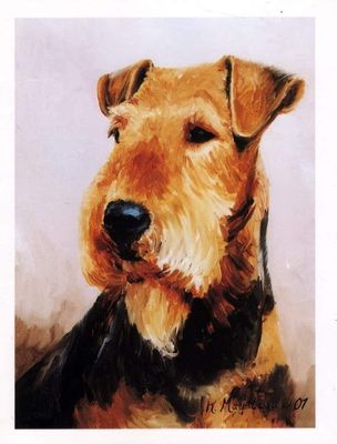 Airdale Terrier Portrait Notecard Set - 12 Note Cards By Ruth Maystead