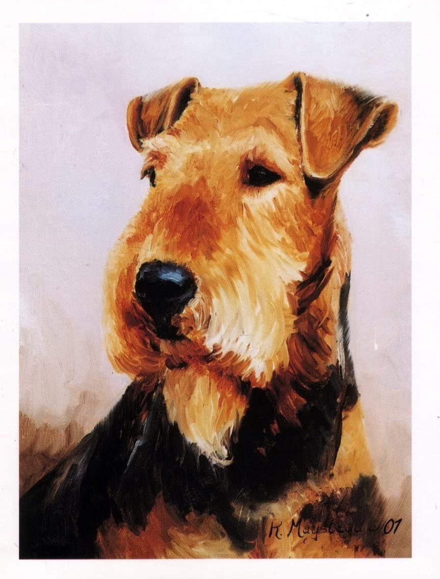 Airdale Terrier Portrait Notecard Set - 12 Note Cards By Ruth Maystead