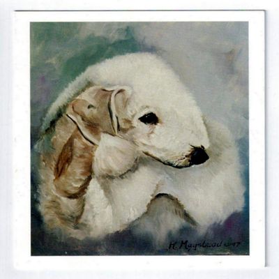 Bedlington Terrier Portrait Notecard Set - 12 Note Cards By Ruth Maystead