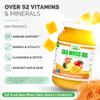 EverSmith Organics - Wildcrafted Irish Sea Moss Gel | Made in USA | Rich in Vitamins & Minerals | Sea Moss Gel Raw | Nutritional Supplement | Mango Pineapple (1 Jar) view 3