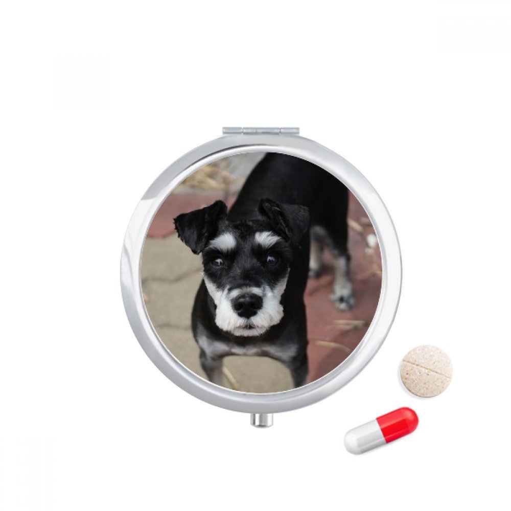 Black Dog Pet Animal Cute Picture Pill Case Pocket Medicine Storage Box Container Dispenser