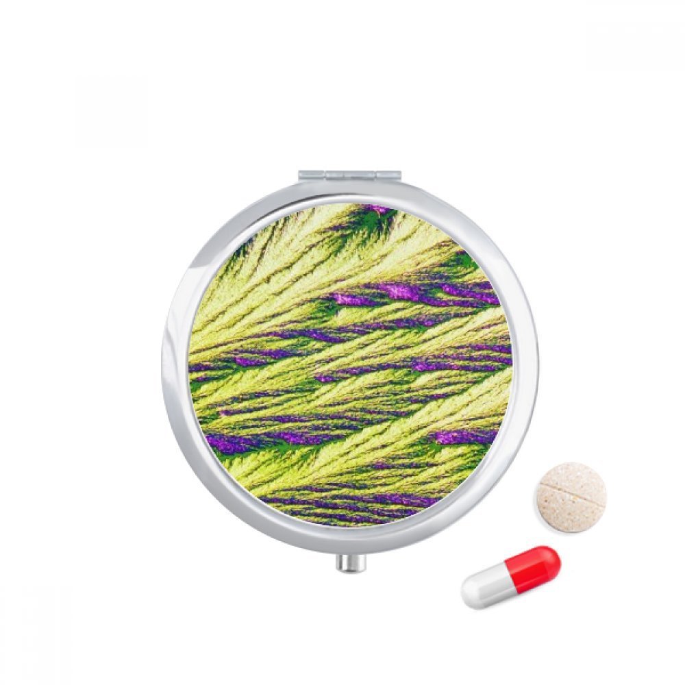 Reeds Cluster Feather Colour Wallpaper Pill Case Pocket Medicine Storage Box Container Dispenser