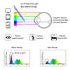 2 Pairs LifeArt Blue Light Blocking Glasses with Spring Hinge, Anti Eyestrain, Computer Reading Glasses, Gaming Glasses, TV Glasses for Women Men, Anti UV, Anti Glare (Clear&Pink, +4.00 Magnification) view 3