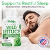 Parker Naturals Wild Lettuce Extract  Herbal Sleep Supplement 1200mg, 4:1 Concentrated, Vegan Capsules, Soothes Discomfort, 60 Servings, 120 Count view 3