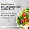 Gundry MD Lectin Shield, Gut Health and Digestion Supplement, Helps Block Potentially Harmful Lectins, Supports Digestive Comfort, and Intestinal Health *, 30 Day Supply view 4