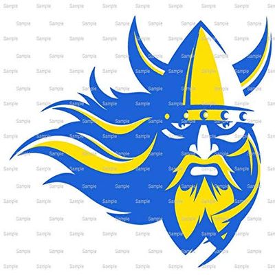 1/8 Sheet - Vikings Mascot Birthday - D966 - 2D Edible Cake Cupcake Party Topper