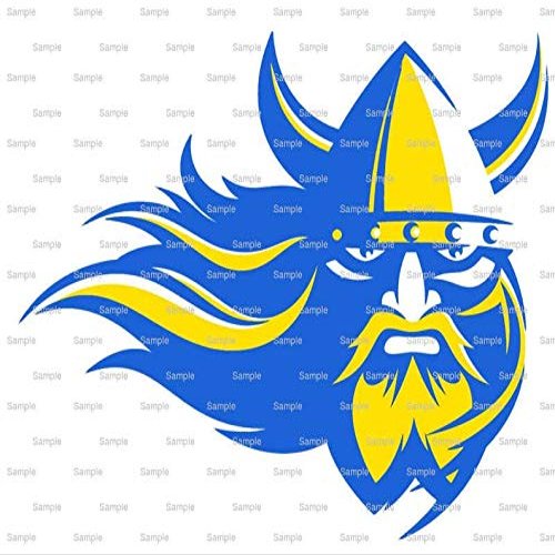 1/8 Sheet - Vikings Mascot Birthday - D966 - 2D Edible Cake Cupcake Party Topper