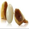 Finaldeals Organic Kashmiri Lehsun Single Clove Garlic 300 Gram view 3