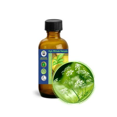 60ml (2oz) Anis Seed (Aniseed) Essential Oil - 100% Pure Pimpinella Anisum -Therapeutic, Antioxidant, Astringent, Skin Care, Aromatherapy, Massage