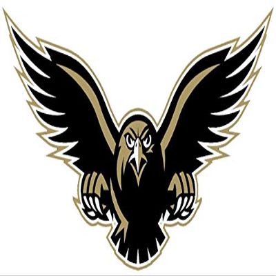 1/2 Sheet - Falcons / Hawks Mascot Birthday - D930 - 2D Edible Cake Cupcake Party Topper
