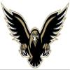 1/2 Sheet - Falcons / Hawks Mascot Birthday - D930 - 2D Edible Cake Cupcake Party Topper view 1