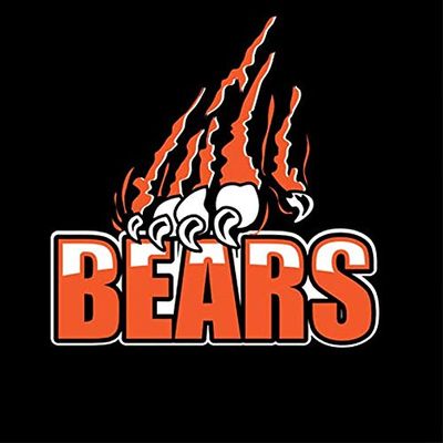 1/4 Sheet - Bears Mascot Claw Birthday - D917 - 2D Edible Cake Cupcake Party Topper