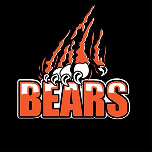 1/4 Sheet - Bears Mascot Claw Birthday - D917 - 2D Edible Cake Cupcake Party Topper