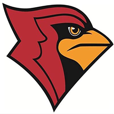 1/4 Sheet - Cardinals Mascot Birthday - D924 - 2D Edible Cake Cupcake Party Topper