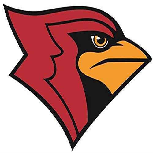 1/4 Sheet - Cardinals Mascot Birthday - D924 - 2D Edible Cake Cupcake Party Topper