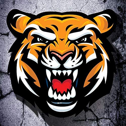 1/4 Sheet - Tigers Mascot Birthday - D851-2D Edible Cake Cupcake Party Topper