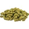 Vanilla Cream Ale Advanced All Grain 5 Gallon Beer Ingredient Kit by My Brew Supply view 4