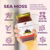 Healthy Herbs Sea Moss Gel (Elderberry) Wildcrafted from Jamaican St Lucia Gold Seamoss | Wild-Harvested Superfood with Over 90 Essential Vitamins & Minerals | Vegan, Non-GMO, US-Made (16 oz.) view 3