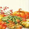 Boston International Paper Hand Towels for Bathroom Fall Decor Guest Towels Disposable, Decorative Paper Napkins, Pumpkin Decor Calabaza Cream Pak 32 view 1