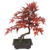 SilksAreForever 20" Hx16 W Silk Maple Bonsai Tree w/Planter -Burgundy/Red view 1