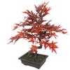 SilksAreForever 20" Hx16 W Silk Maple Bonsai Tree w/Planter -Burgundy/Red view 2