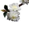 SilksAreForever 20" Hx12 W Silk Cherry Blossom Flowering Bonsai Tree w/Planter -White view 2