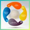 100% Organic Wool Ball Dryer - Hypoallergenic 6XL Handmade Wool Dryer Balls with Lavender Oil and Dryer Vent Cleaning Brush view 3